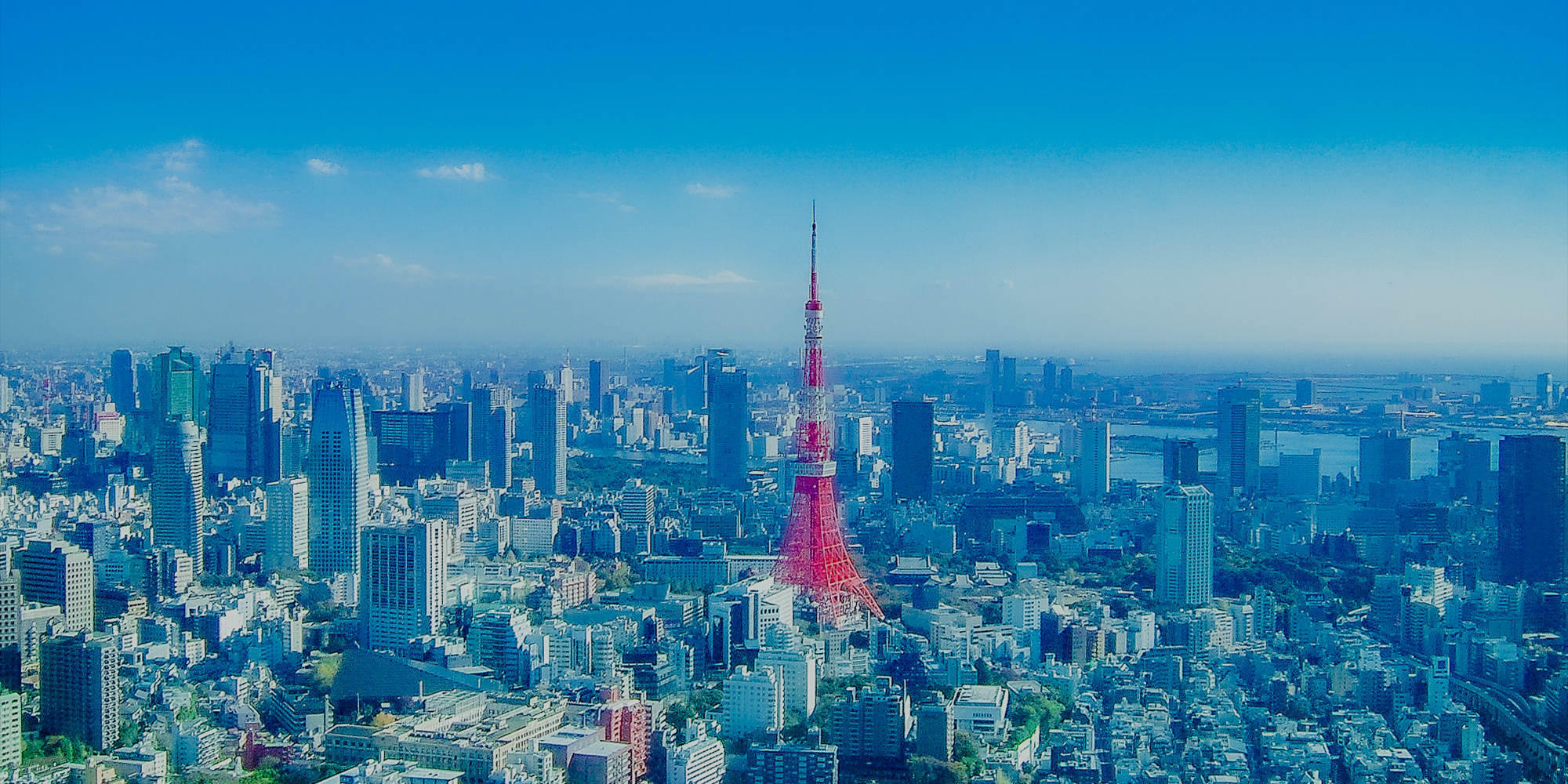 株式会社プロテクト